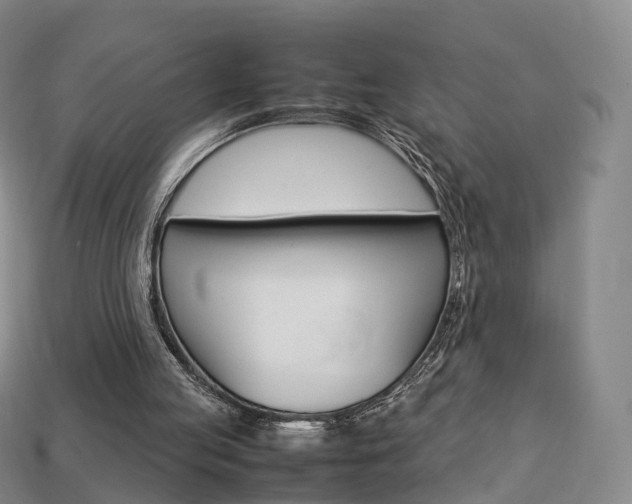X0000113750053200909231014
