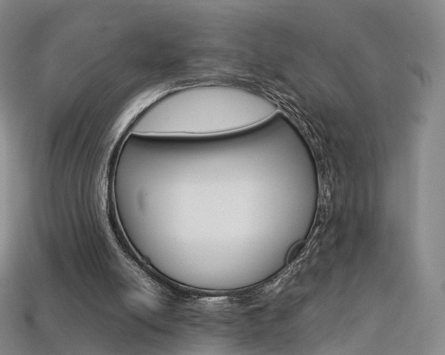 X0000113750054200909231014