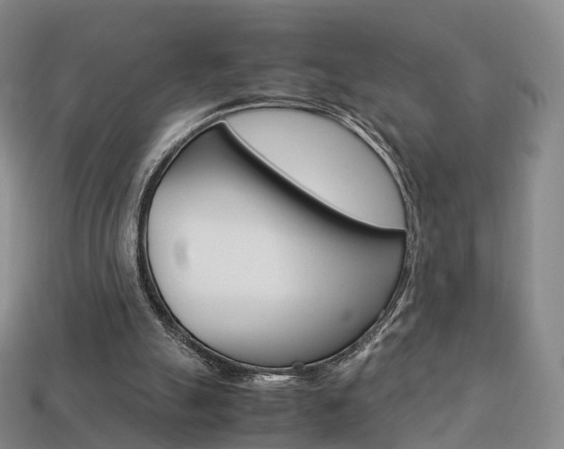 X0000113750055200909231014