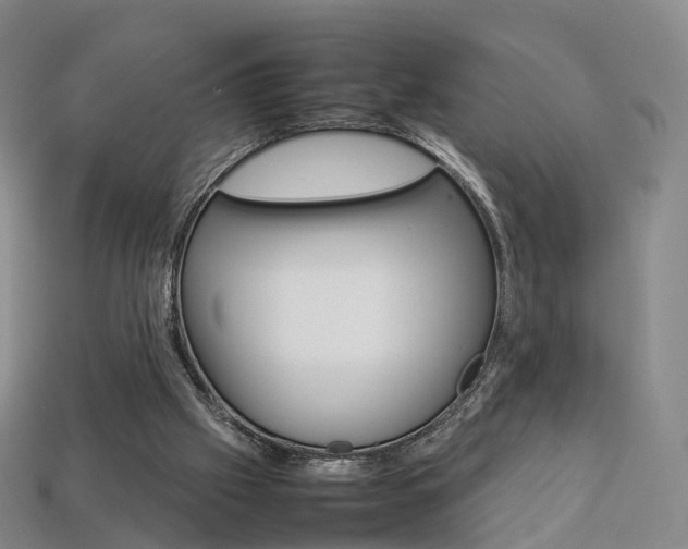 X0000113750057200909231014