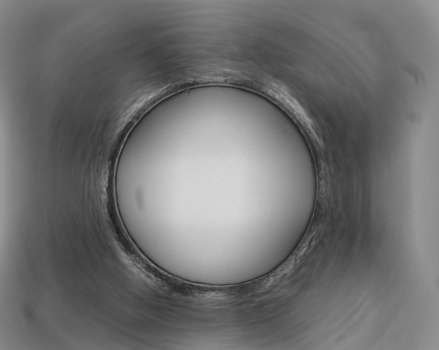 X0000113750058200909231014