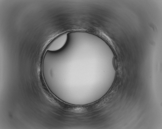 X0000113750059200909231014