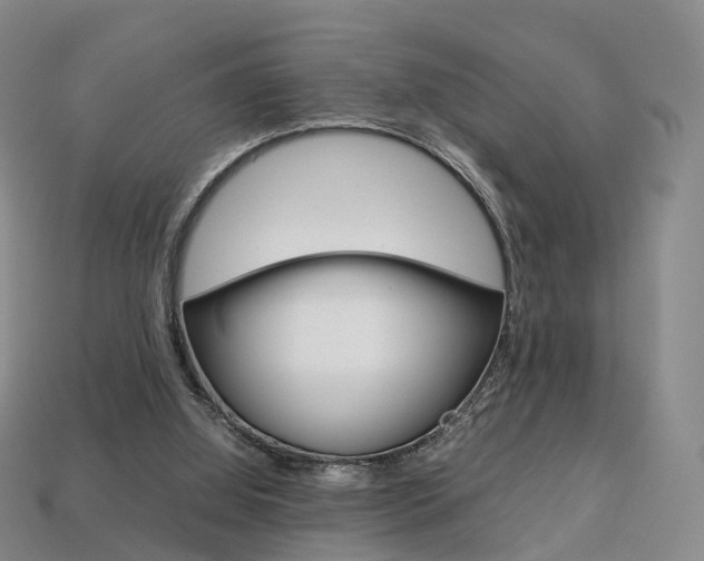 X0000113750060200909231014