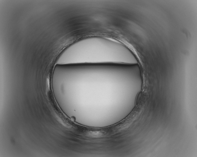 X0000113750061200909231014