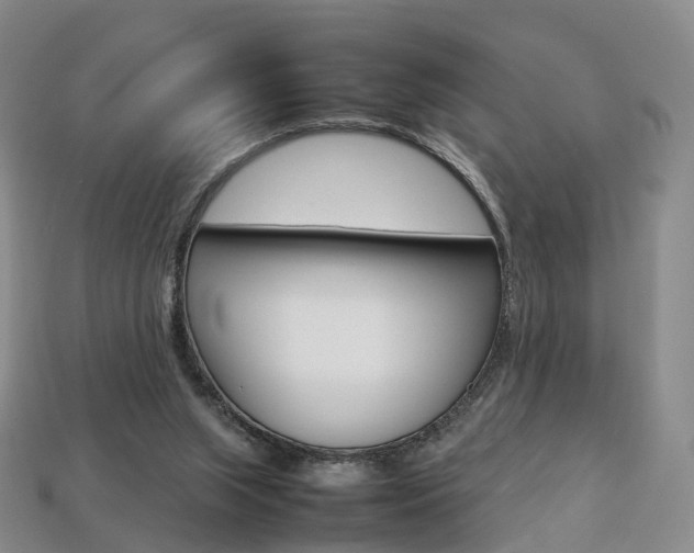 X0000113750063200909231014