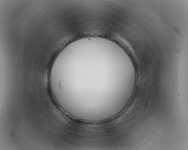 X0000113750065200909231014