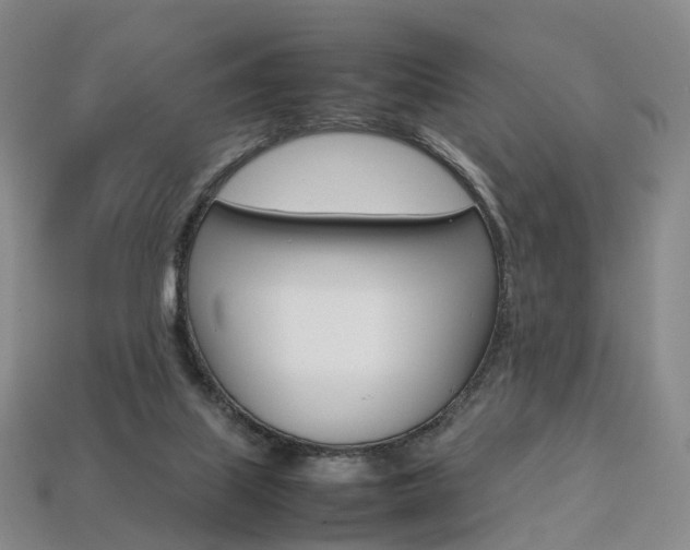 X0000113750067200909231014