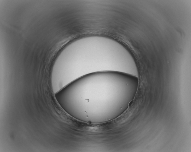 X0000113750068200909231014