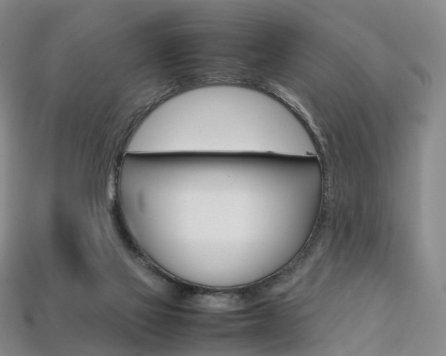 X0000113750069200909231014