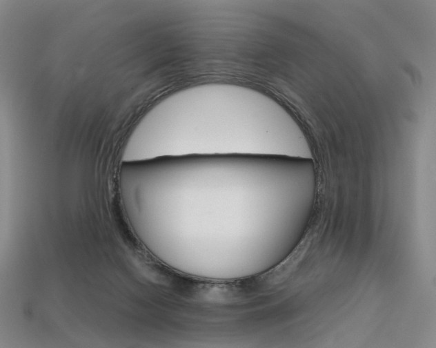 X0000113750074200909231014
