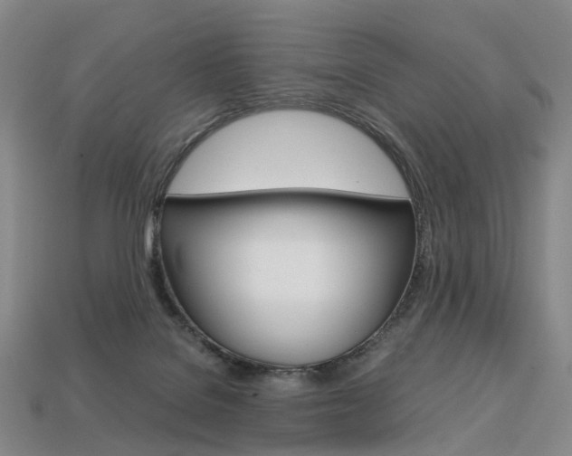 X0000113750076200909231014