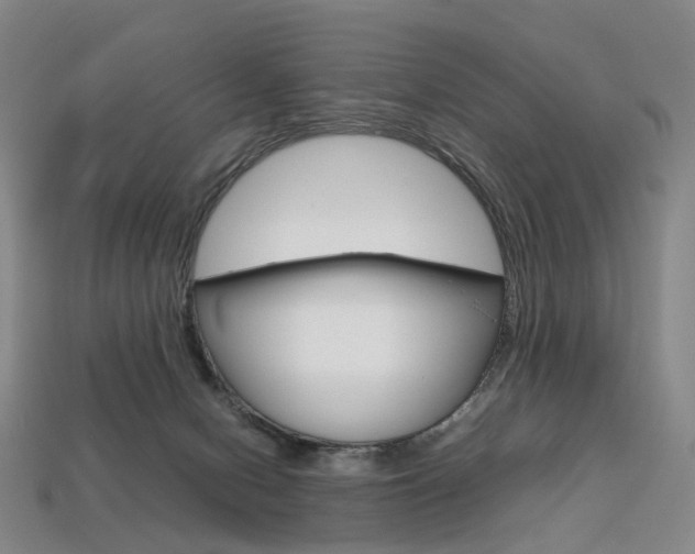 X0000113750078200909231014