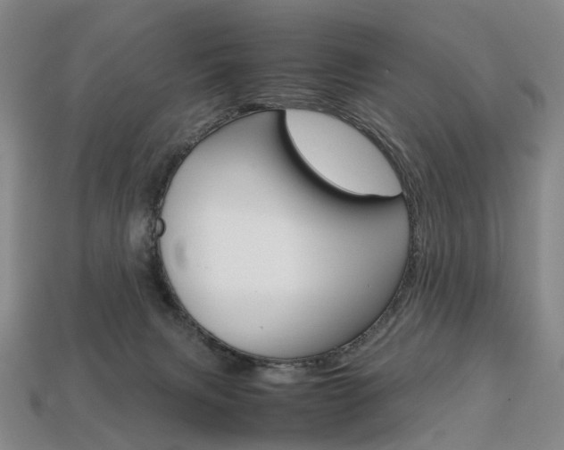 X0000113750079200909231014