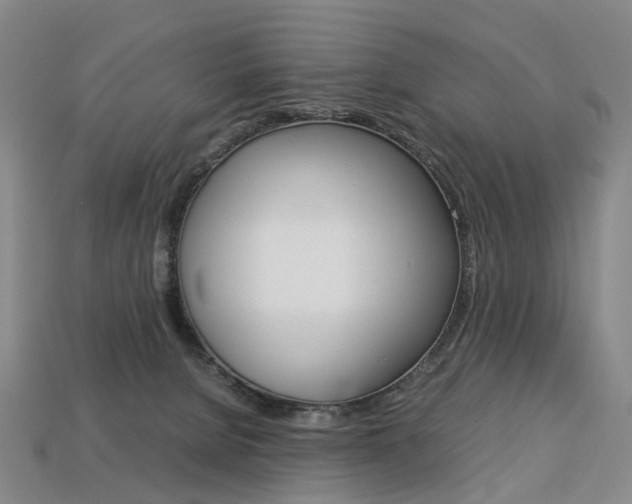 X0000113750080200909231014