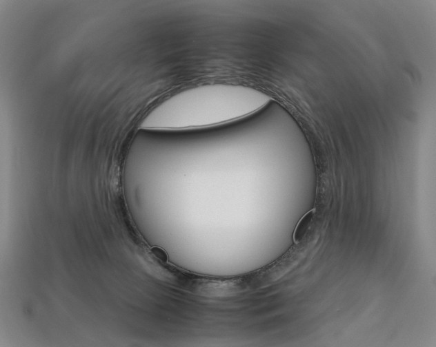 X0000113750081200909231014