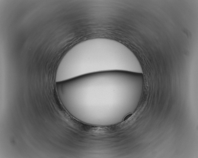 X0000113750082200909231014