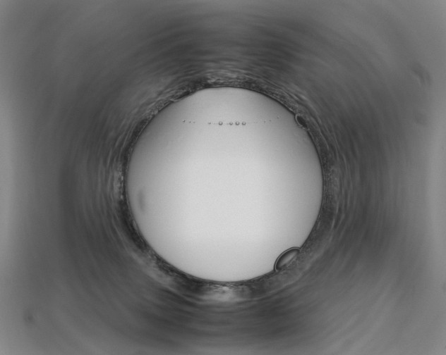 X0000113750083200909231014
