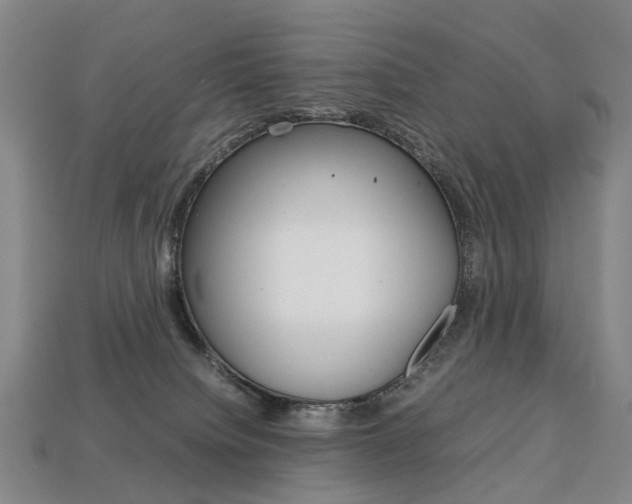 X0000113750084200909231014