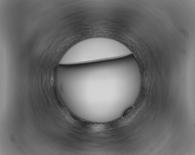 X0000113750085200909231014