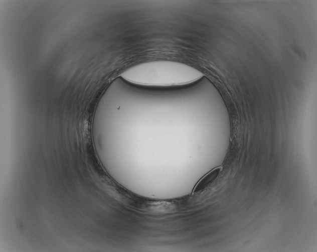 X0000113750087200909231014