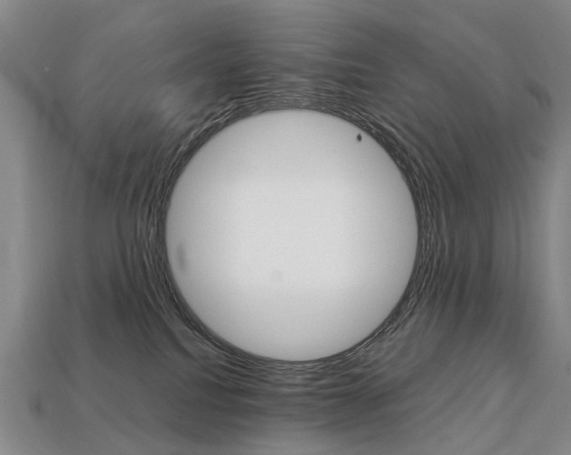X0000113750088200909231014
