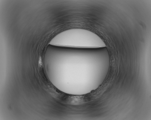 X0000113750089200909231014