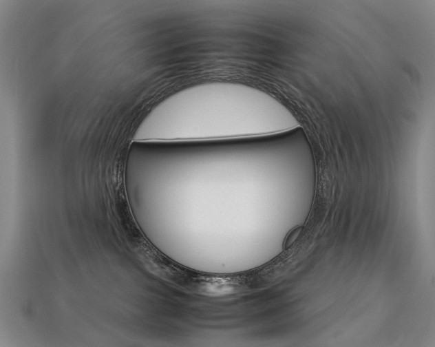 X0000113750091200909231014