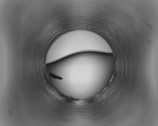 X0000113750092200909231014