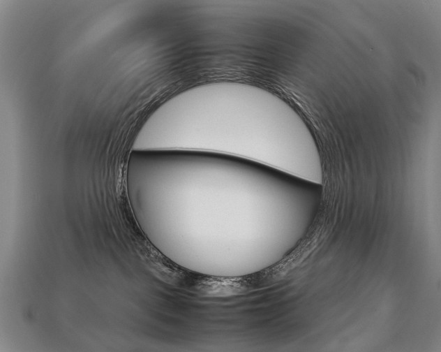 X0000113750093200909231014