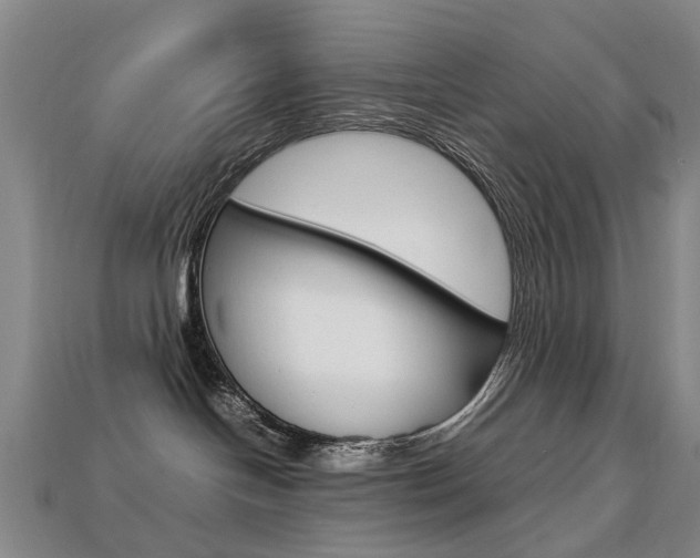 X0000113750094200909231014