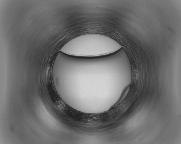 X0000113750095200909231014