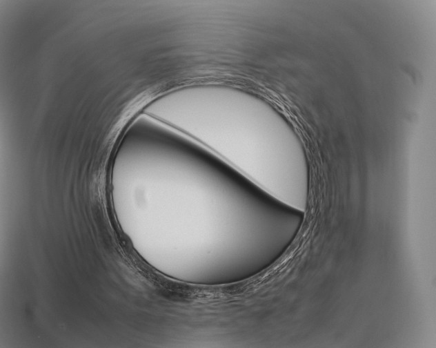 X0000113750099200909231014