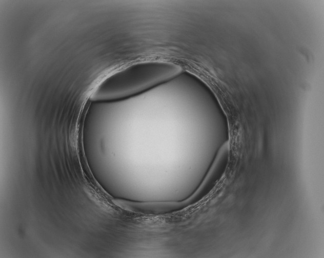 X0000113750100200909231014