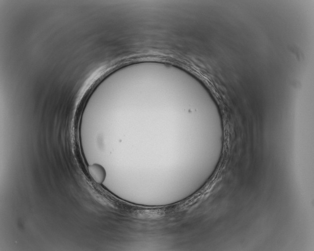 X0000113750102200909231014