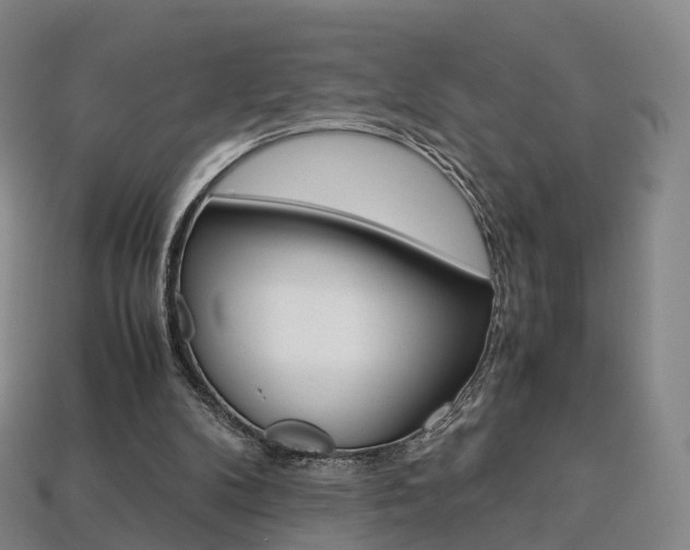 X0000113750104200909231014