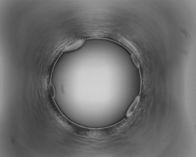 X0000113750105200909231014