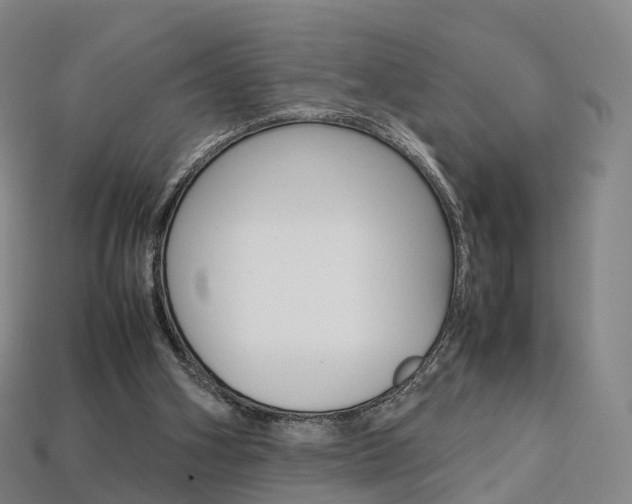 X0000113750106200909231014