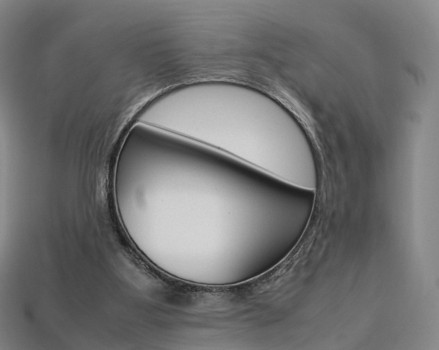 X0000113750107200909231014