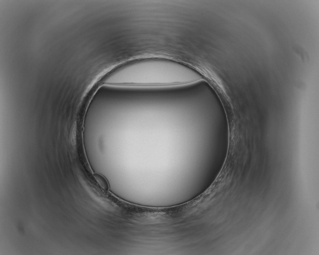 X0000113750108200909231014