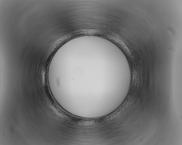 X0000113750110200909231014