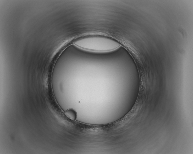 X0000113750112200909231014