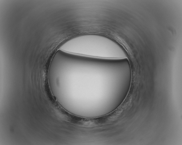 X0000113750113200909231014