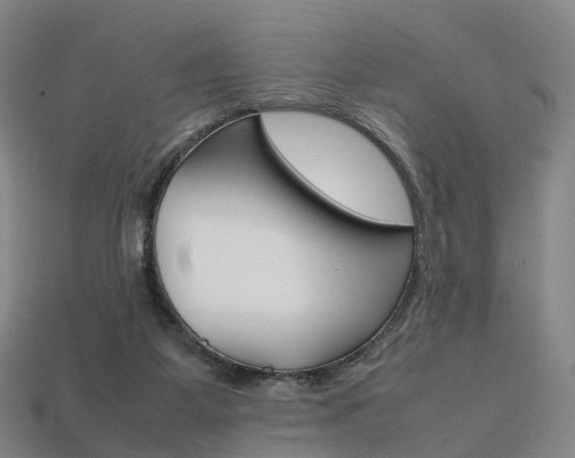 X0000113750115200909231014