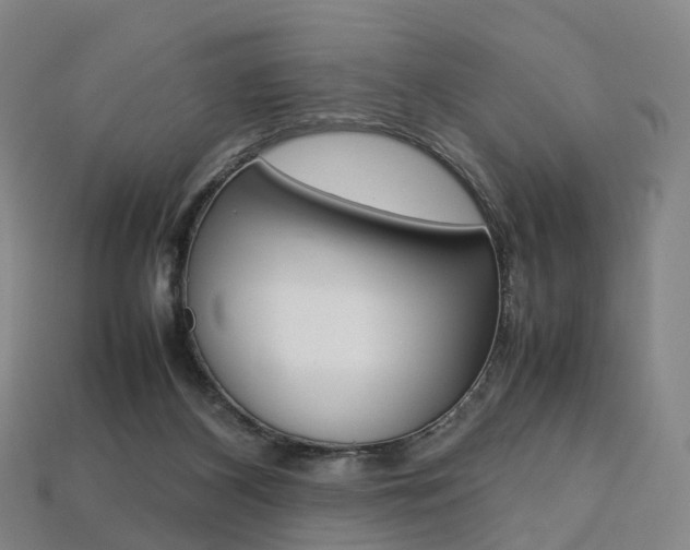 X0000113750116200909231014