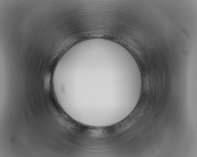 X0000113750118200909231013