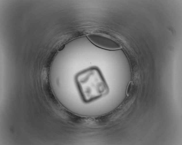 X0000113750121200909231013