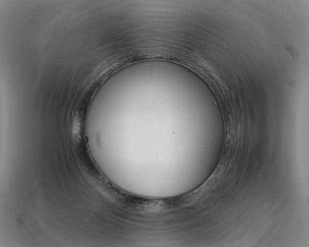 X0000113750124200909231013