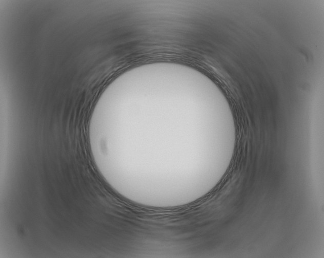 X0000113750125200909231013