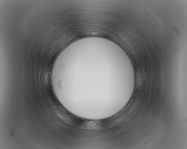 X0000113750126200909231013