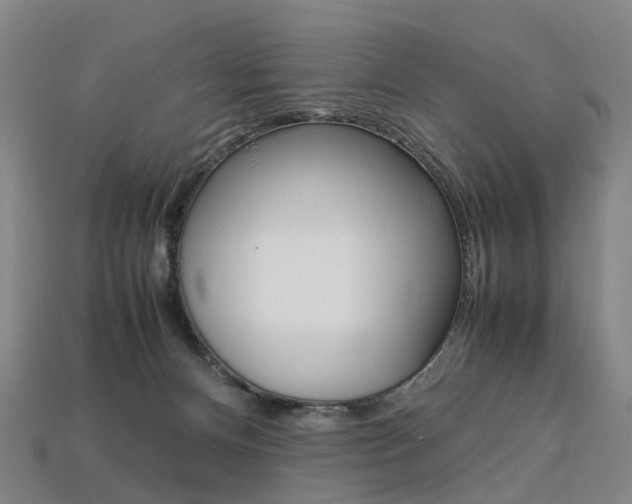 X0000113750128200909231013